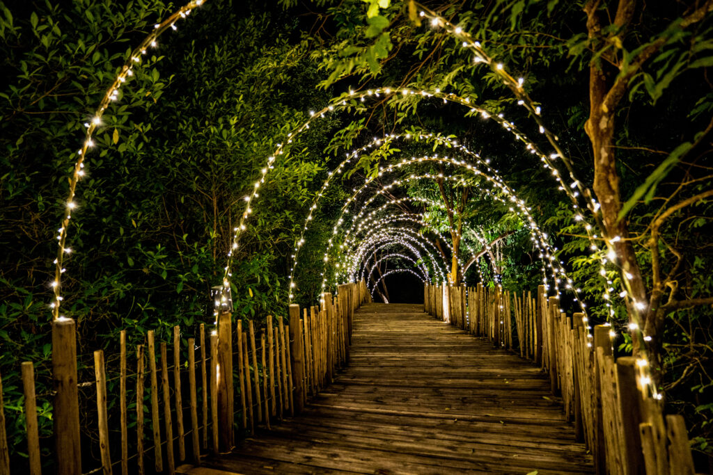 Lighting line hang on to the tree decor on to cave concept on the wood terrace walking way with darken around.