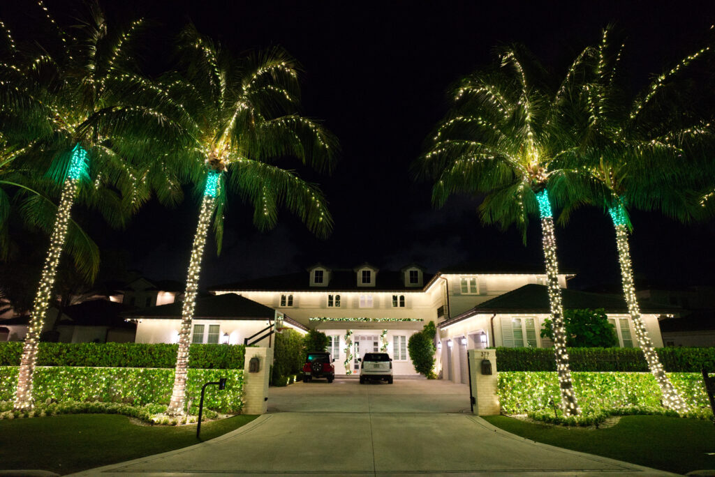 "Four majestic coconut palm trees, each highlighted by green halo collars, are wrapped in warm white holiday lights that accentuate both their trunks and fronds. This festive decoration enhances the front of a beautiful home, adding a vibrant and welcoming holiday atmosphere."